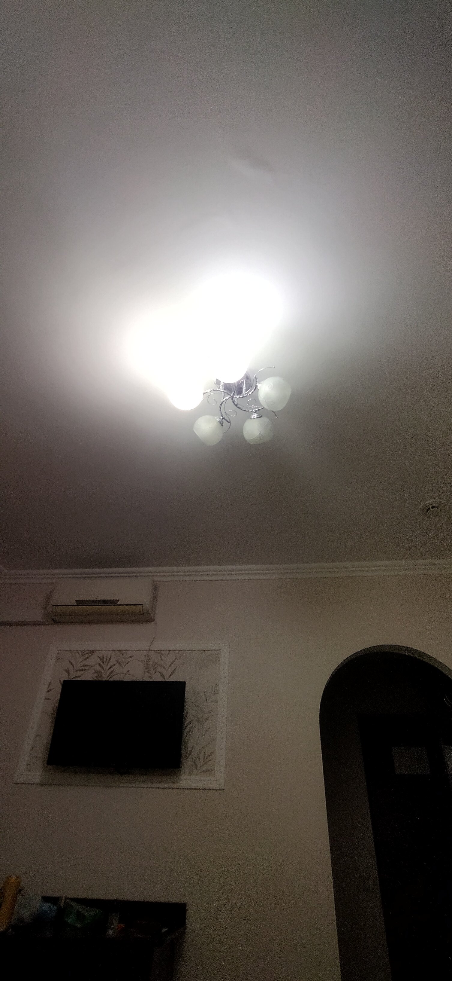 Фото Виардо