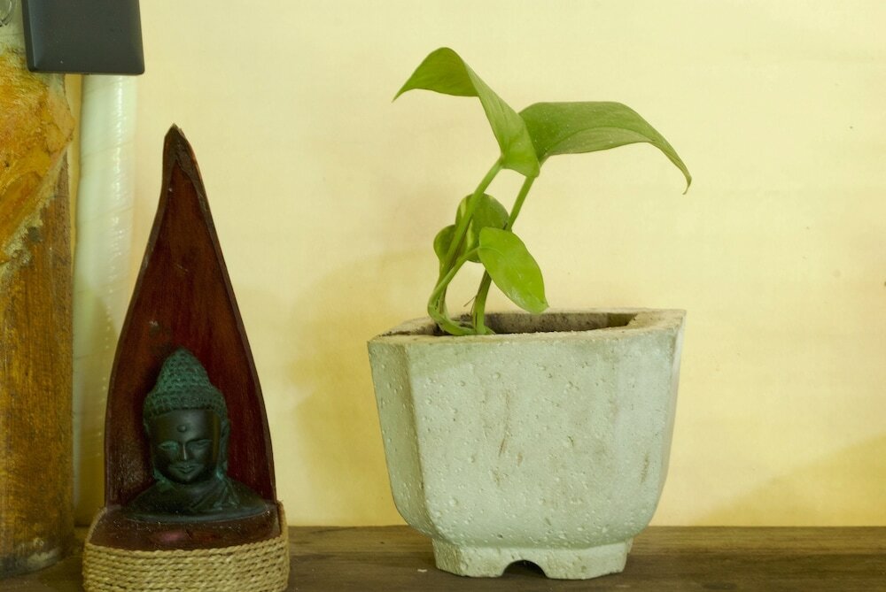 Фото Serena Tulum - Adults Only