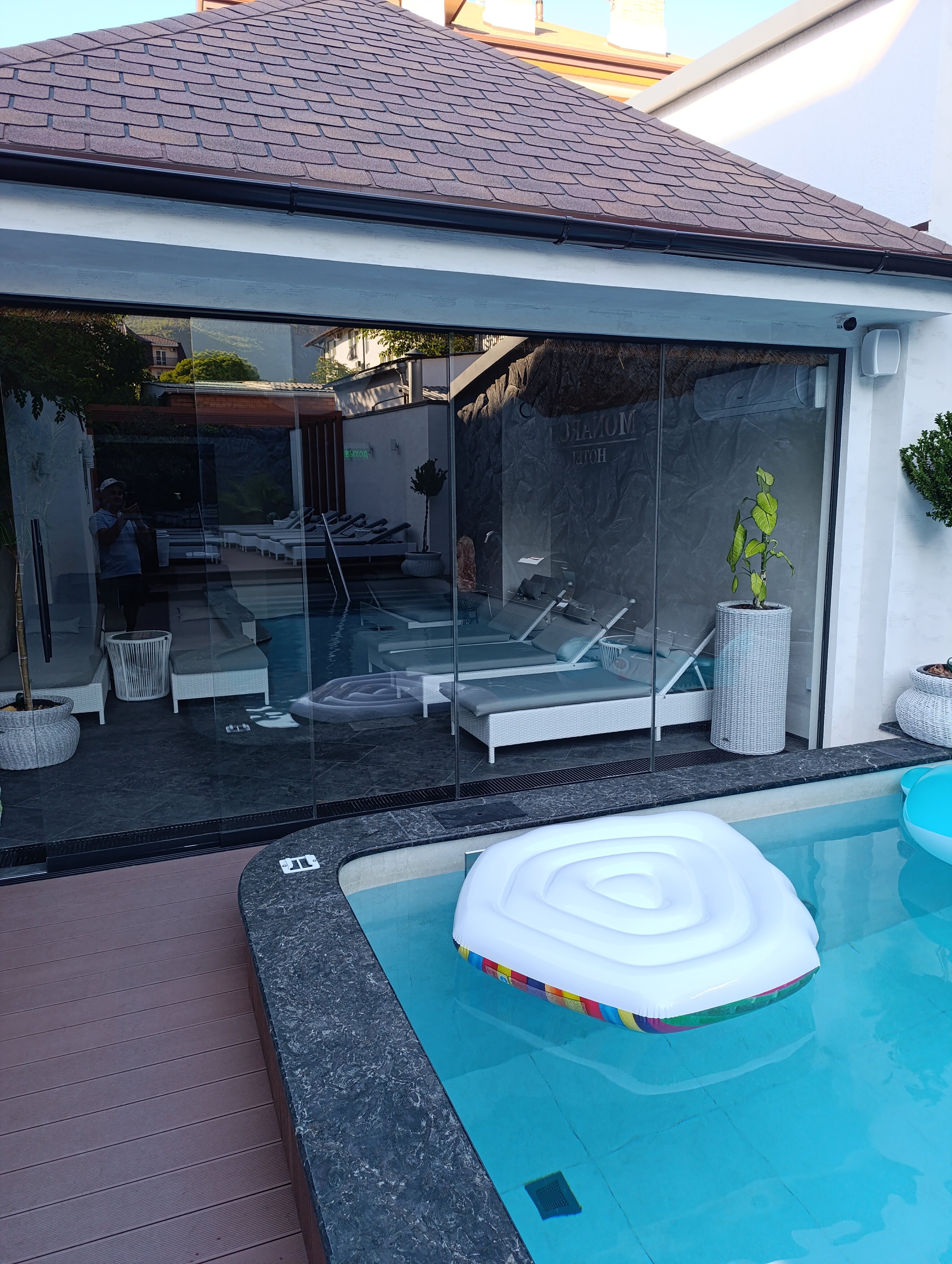 Фото Монарх