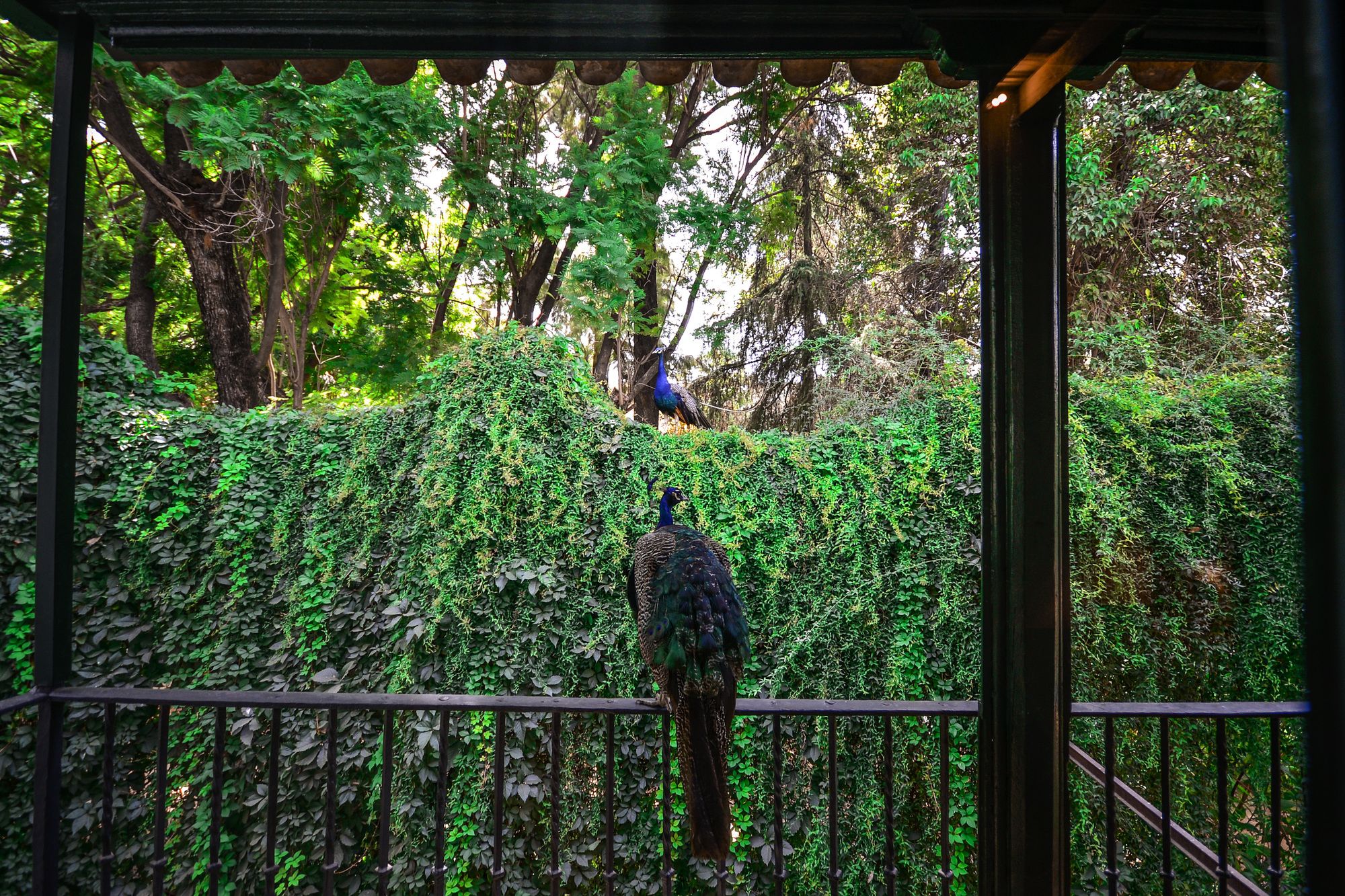 Фото Legado Alcázar Hotel