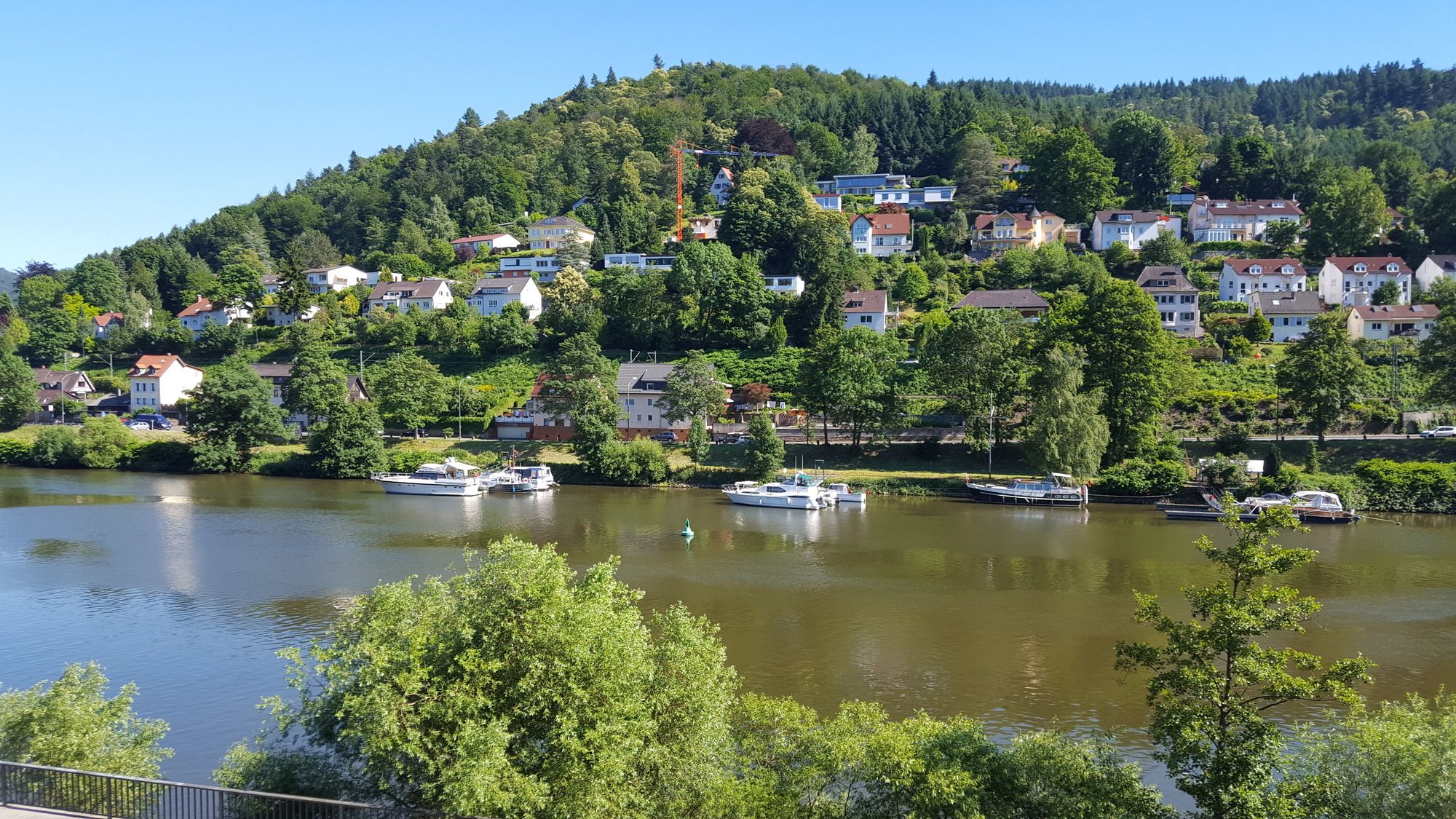 Фото Hotel Neckarlux