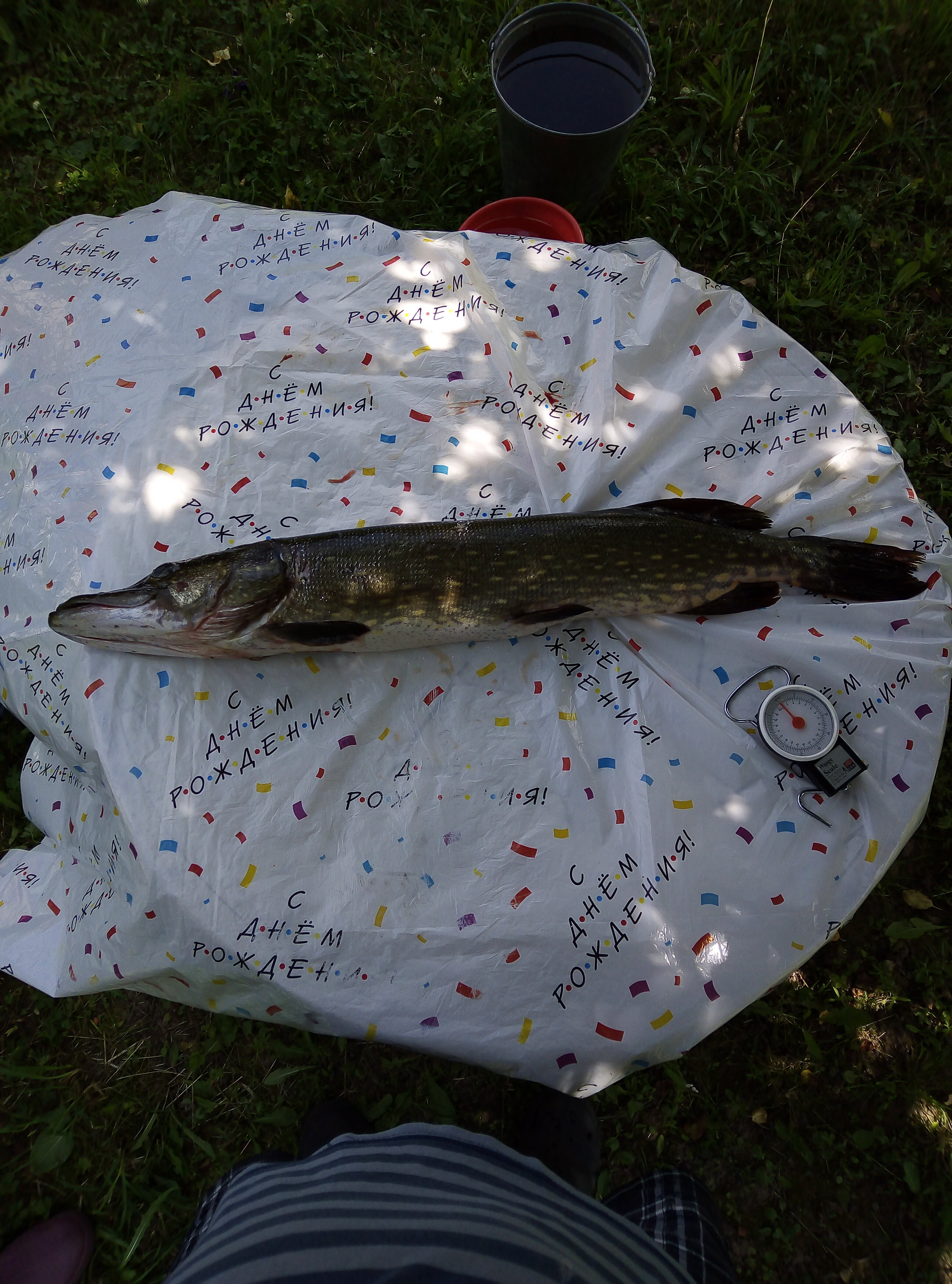 Фото Дом на берегу озера