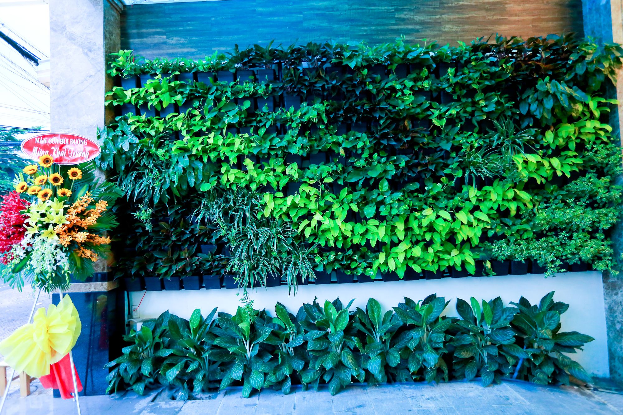 Фото Vivian Airport Hotel Saigon