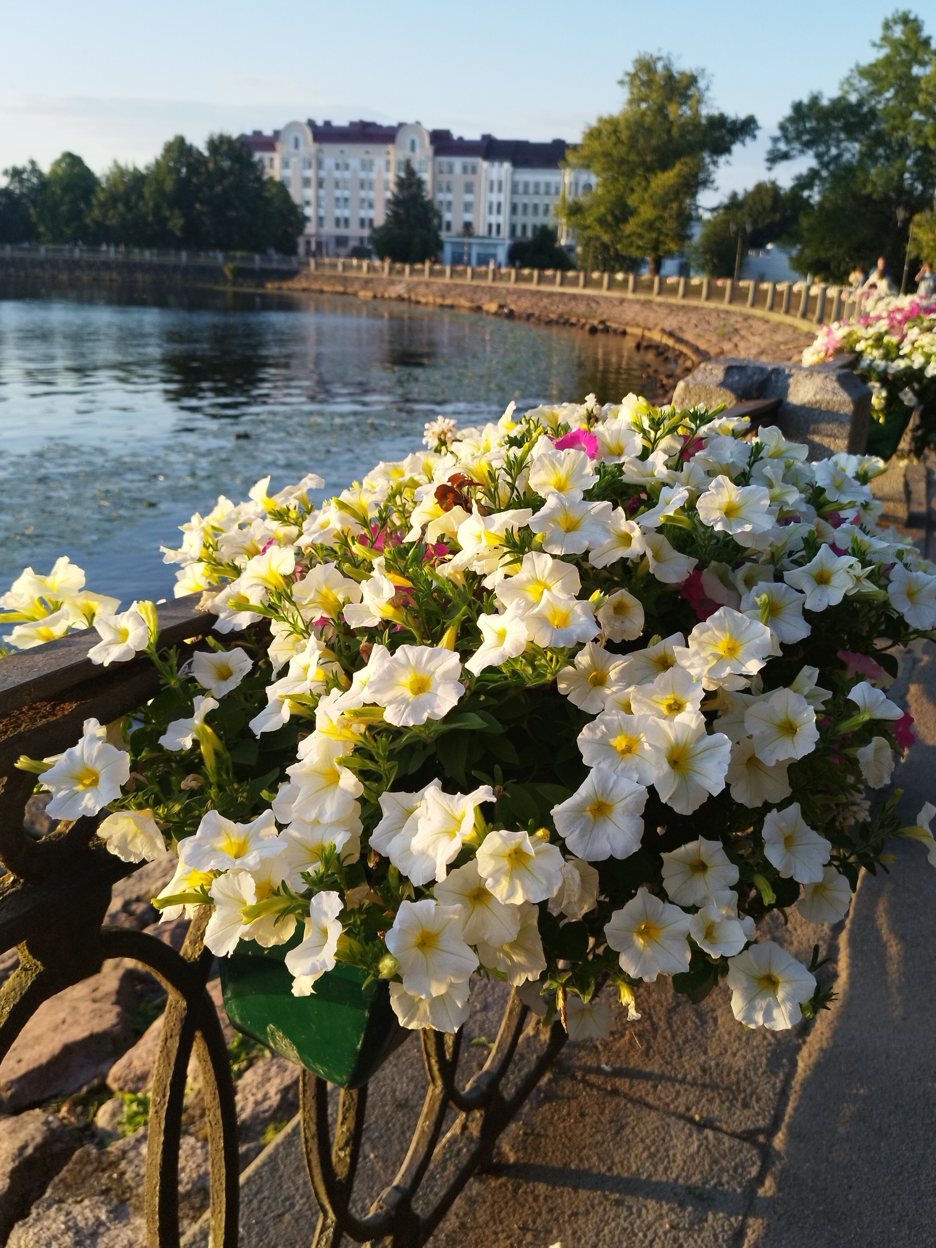 Фото Дружба