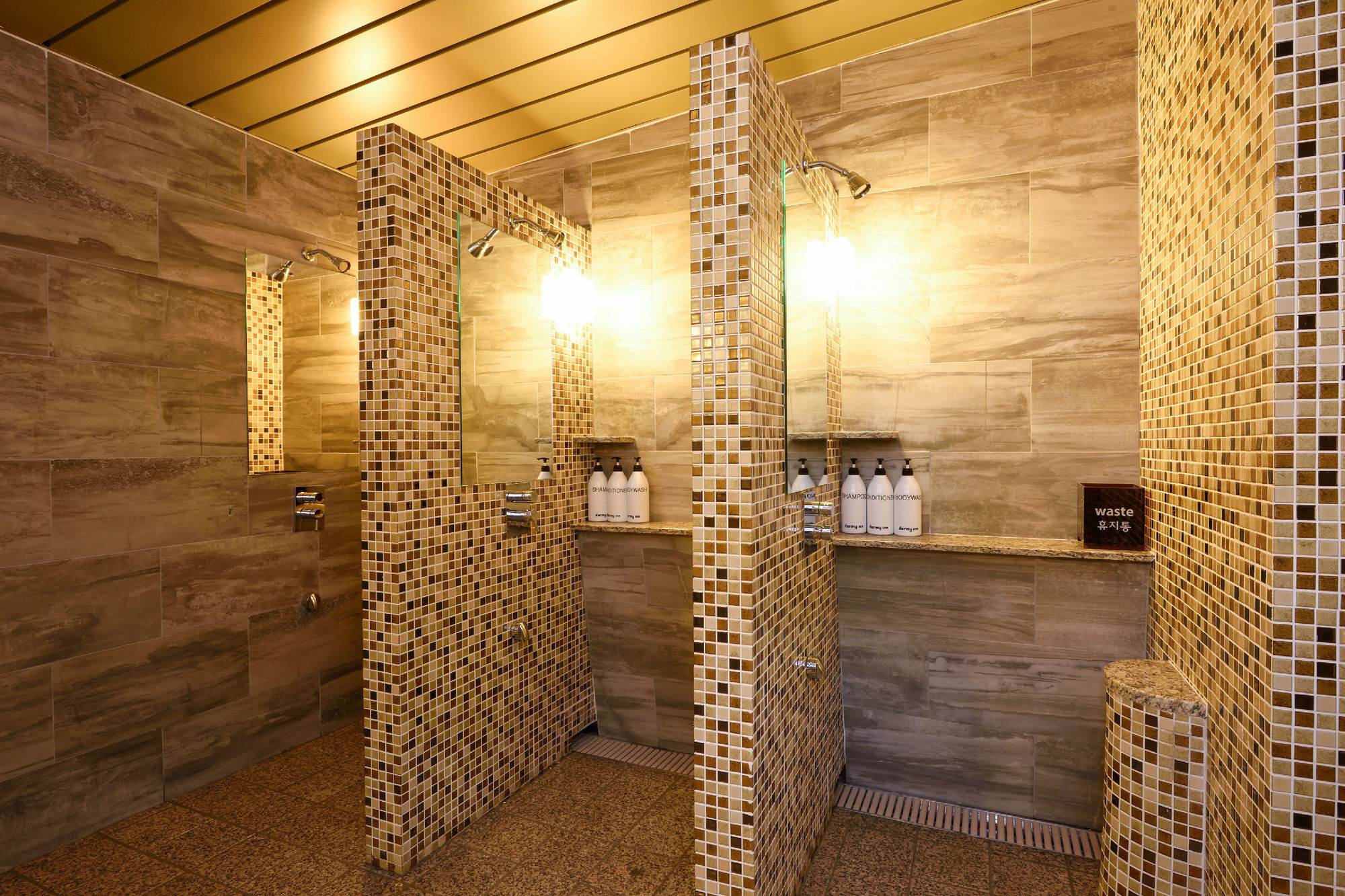 Фото Dormy Inn Seoul Gangnam