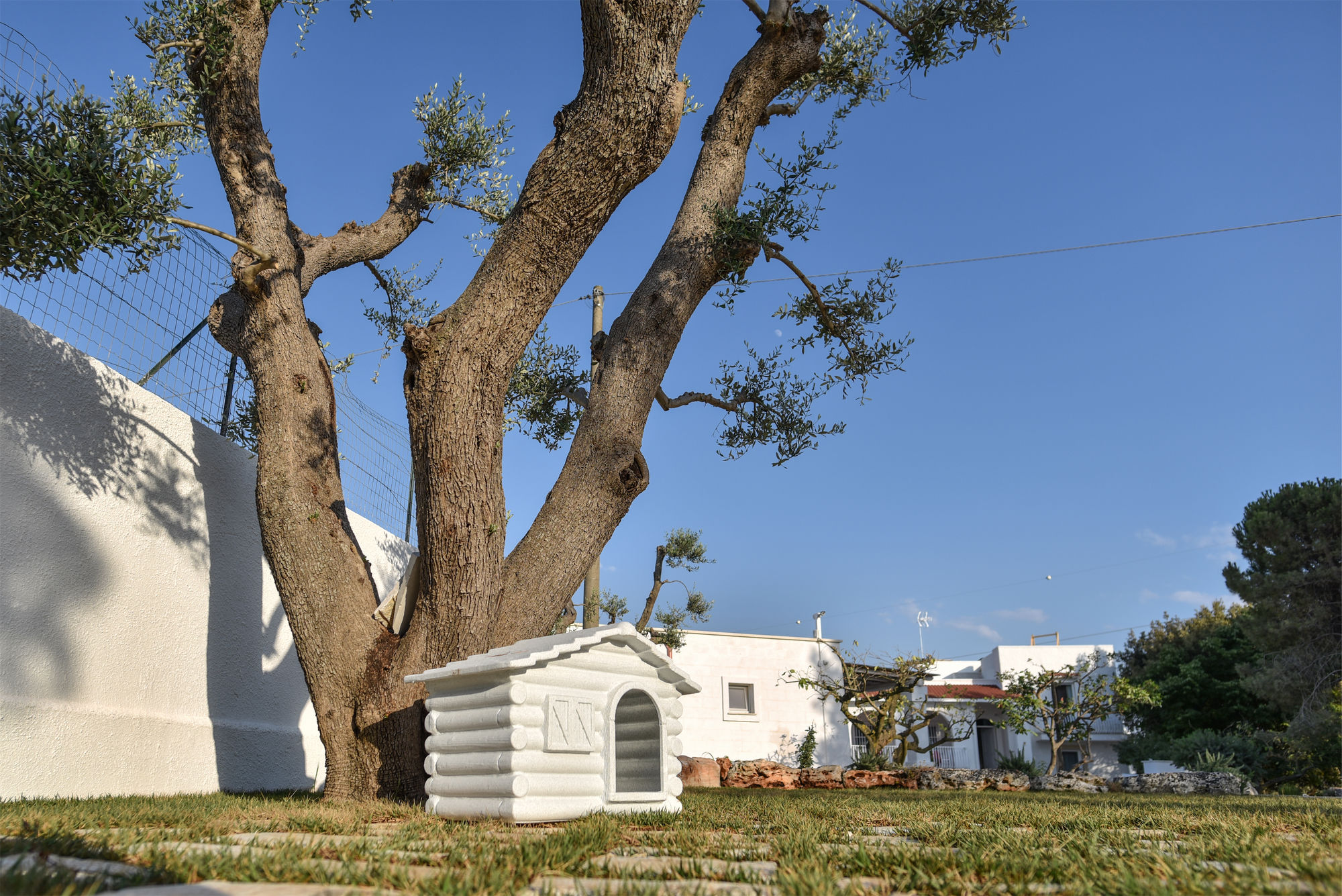 Фото La Terrazza sulla Rupe