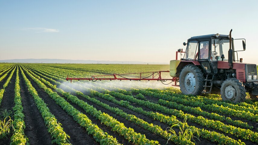 Disinfection, disinsection, deratization Entokim Çevre Sağlığı Hizmetleri, Istanbul, photo