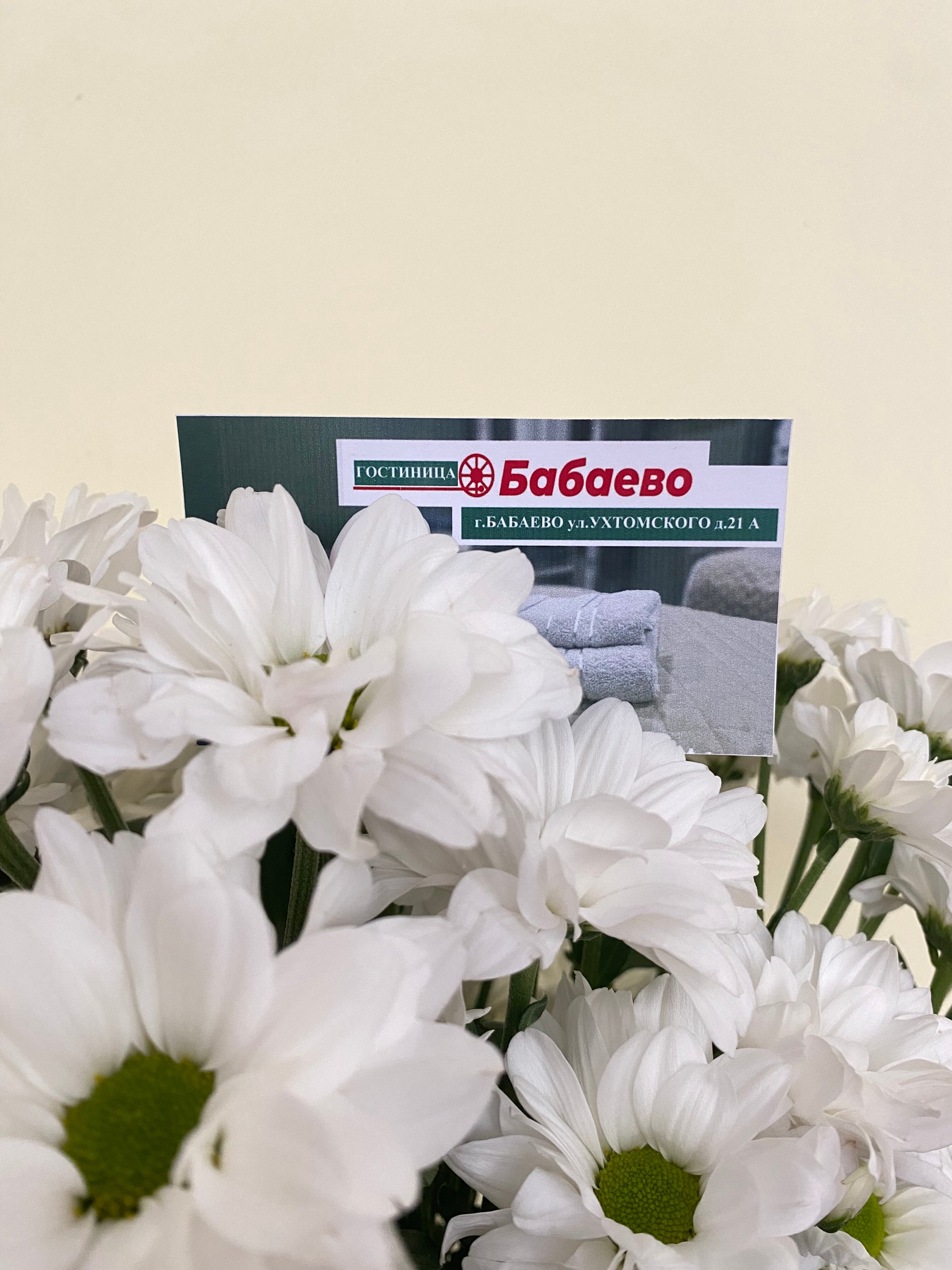 Фото Бабаево