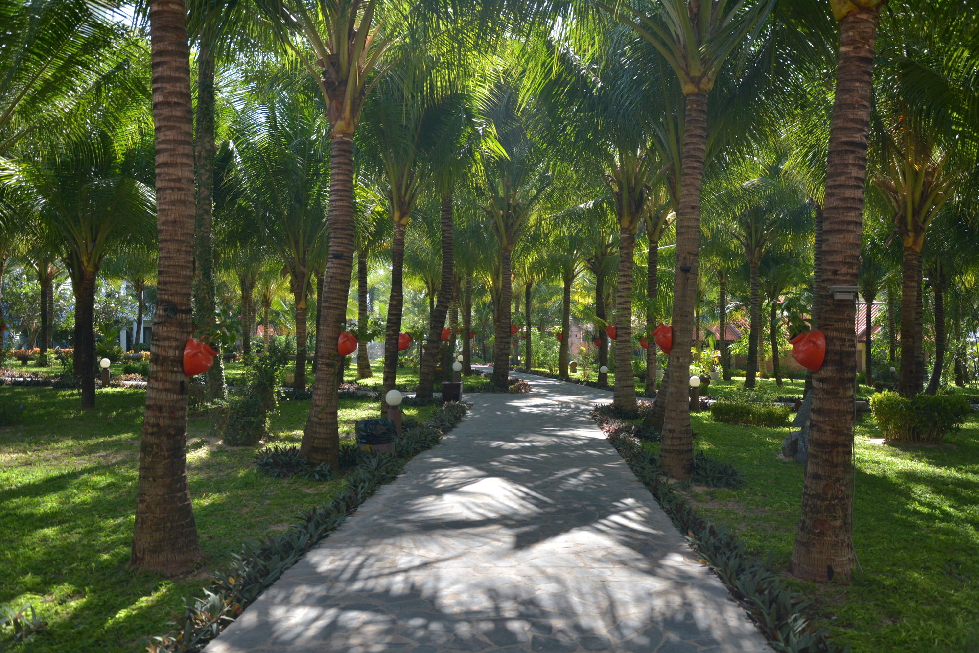 Фото Sea Lion Beach Resort Mui Ne