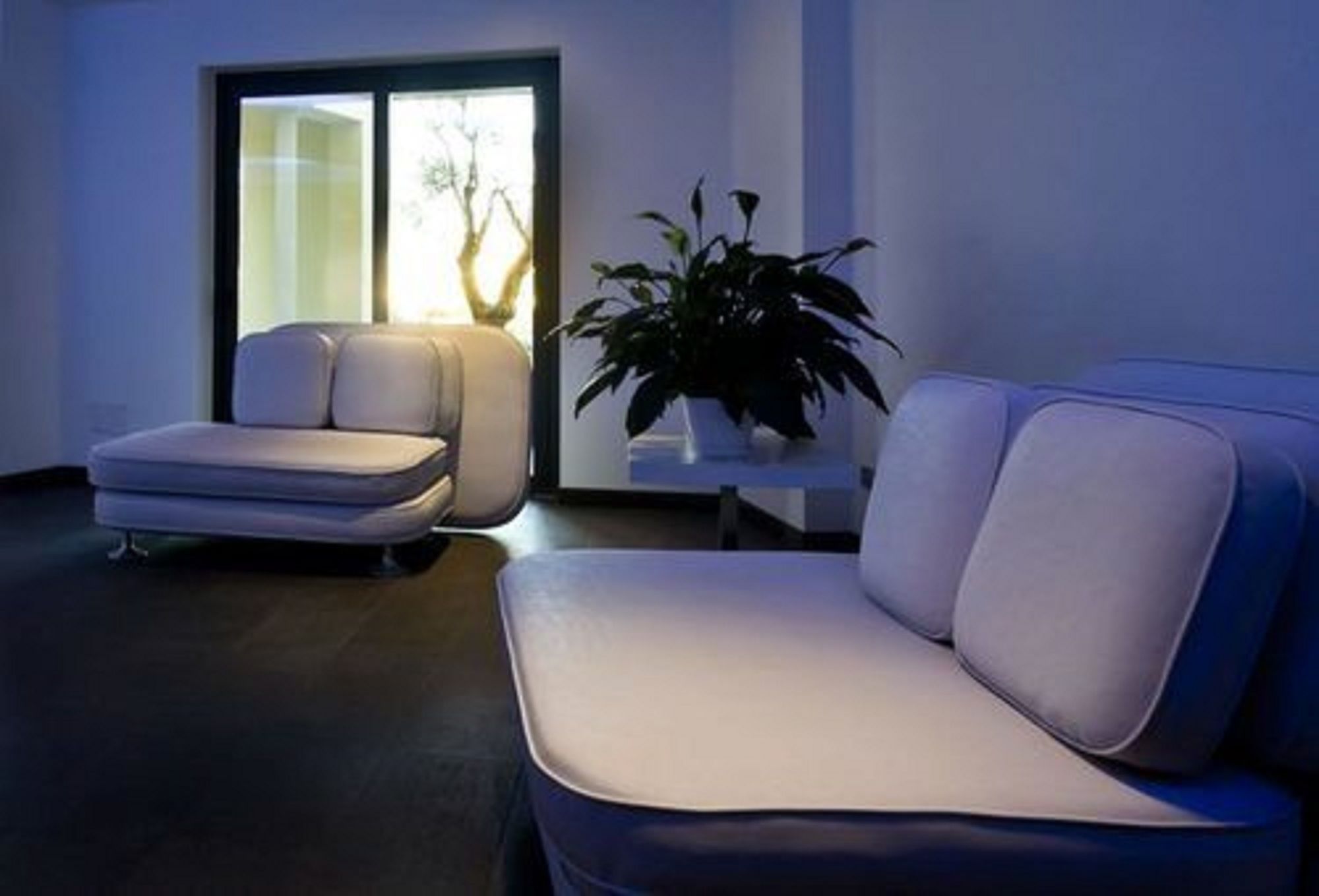 Фото 36201050599