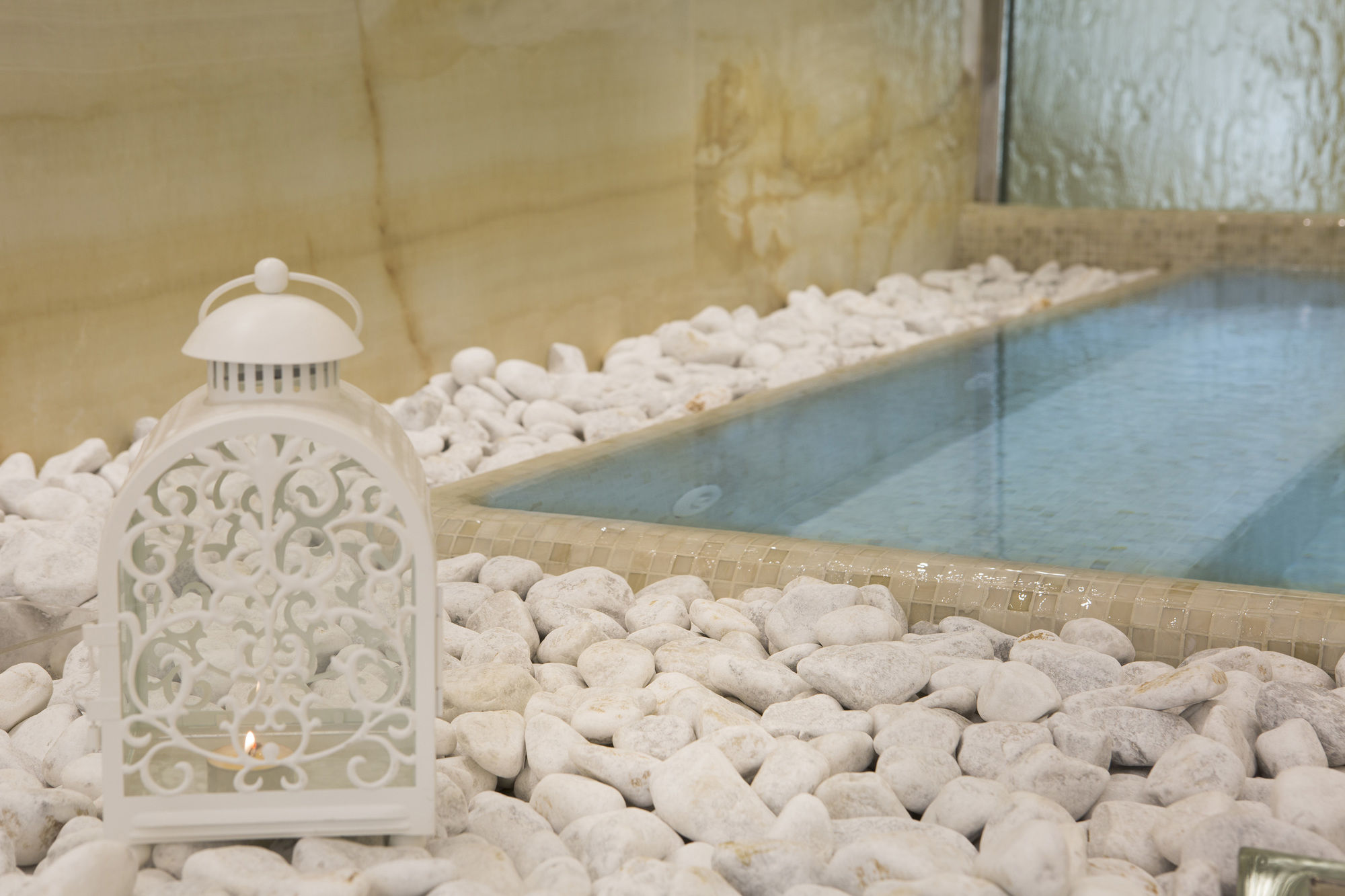 Фото Hotel Feldberg