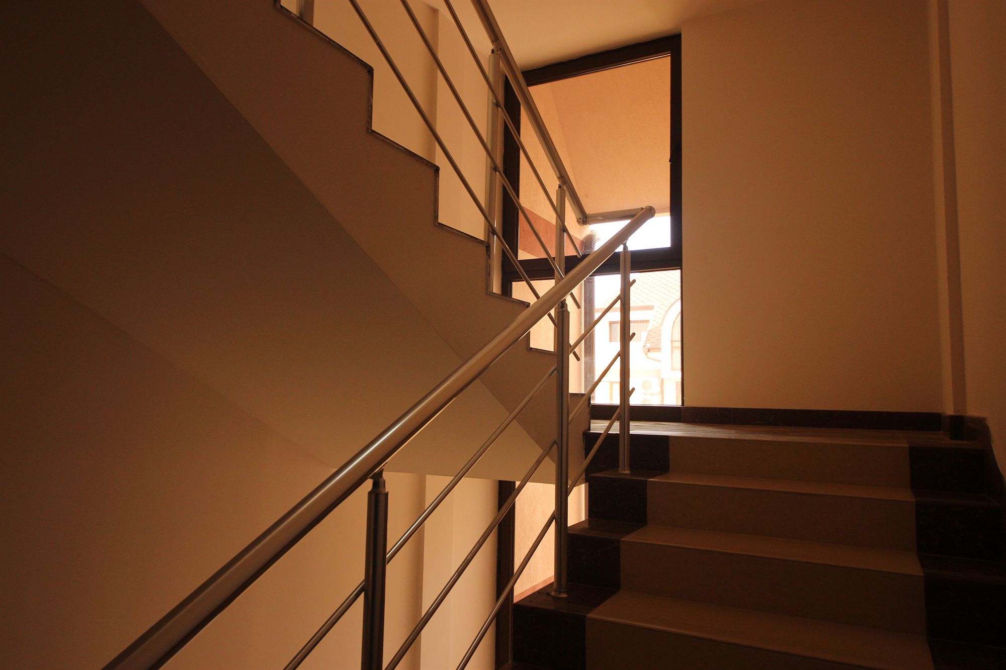 Фото Тарсис