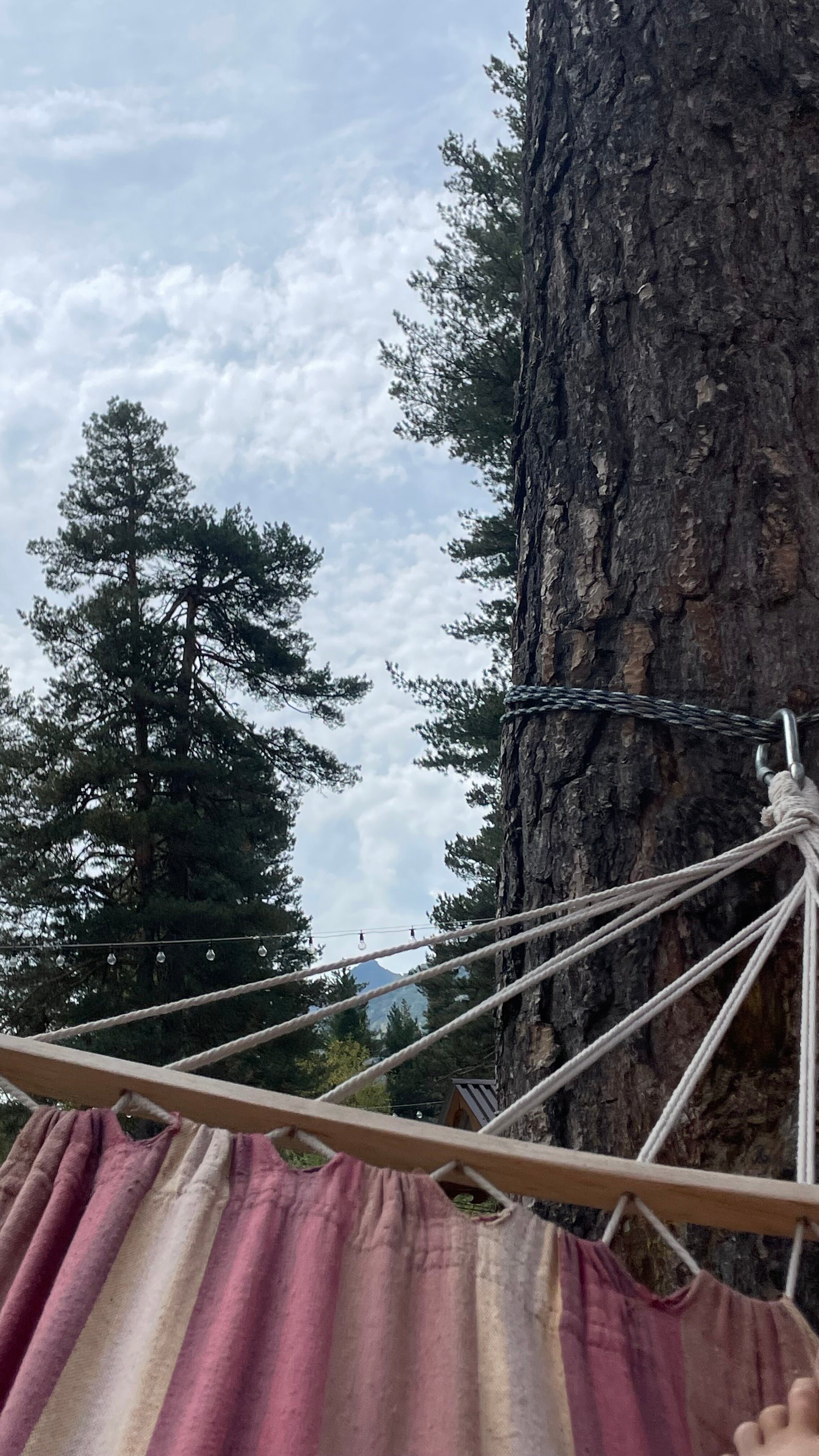 Фото Аксакал