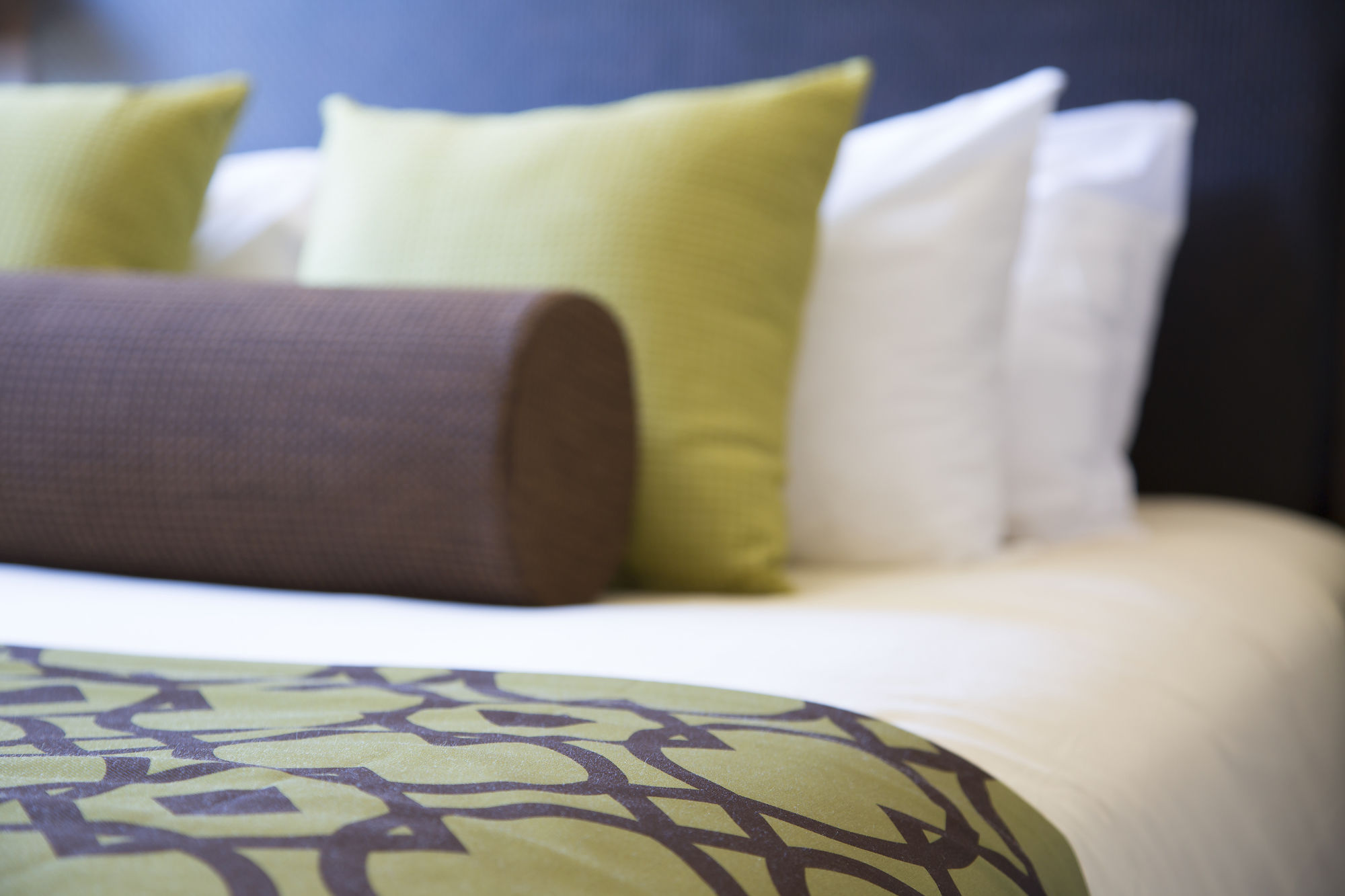 Фото Executive Suites Hotel & Resort, Squamish