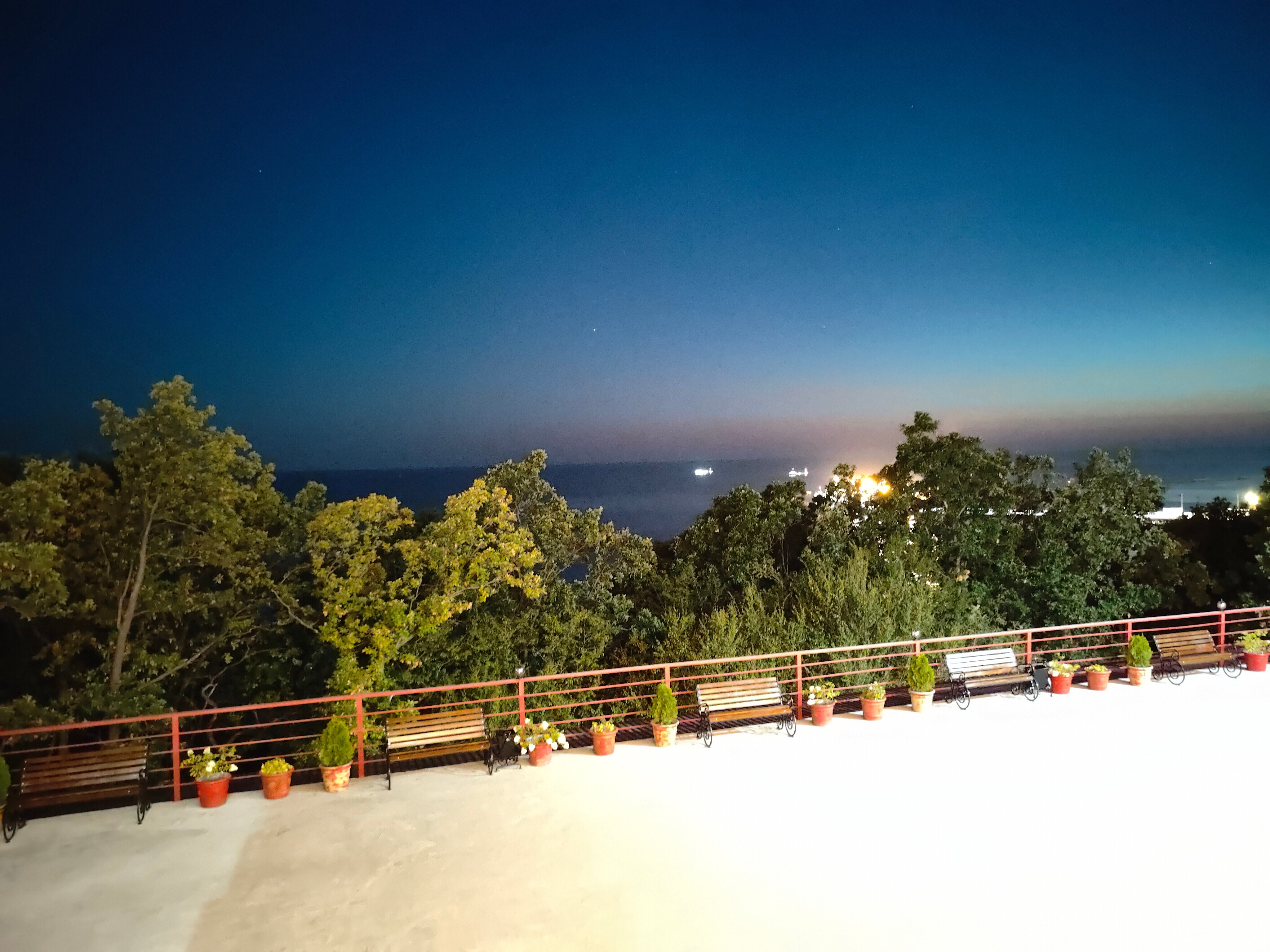 Фото Багира