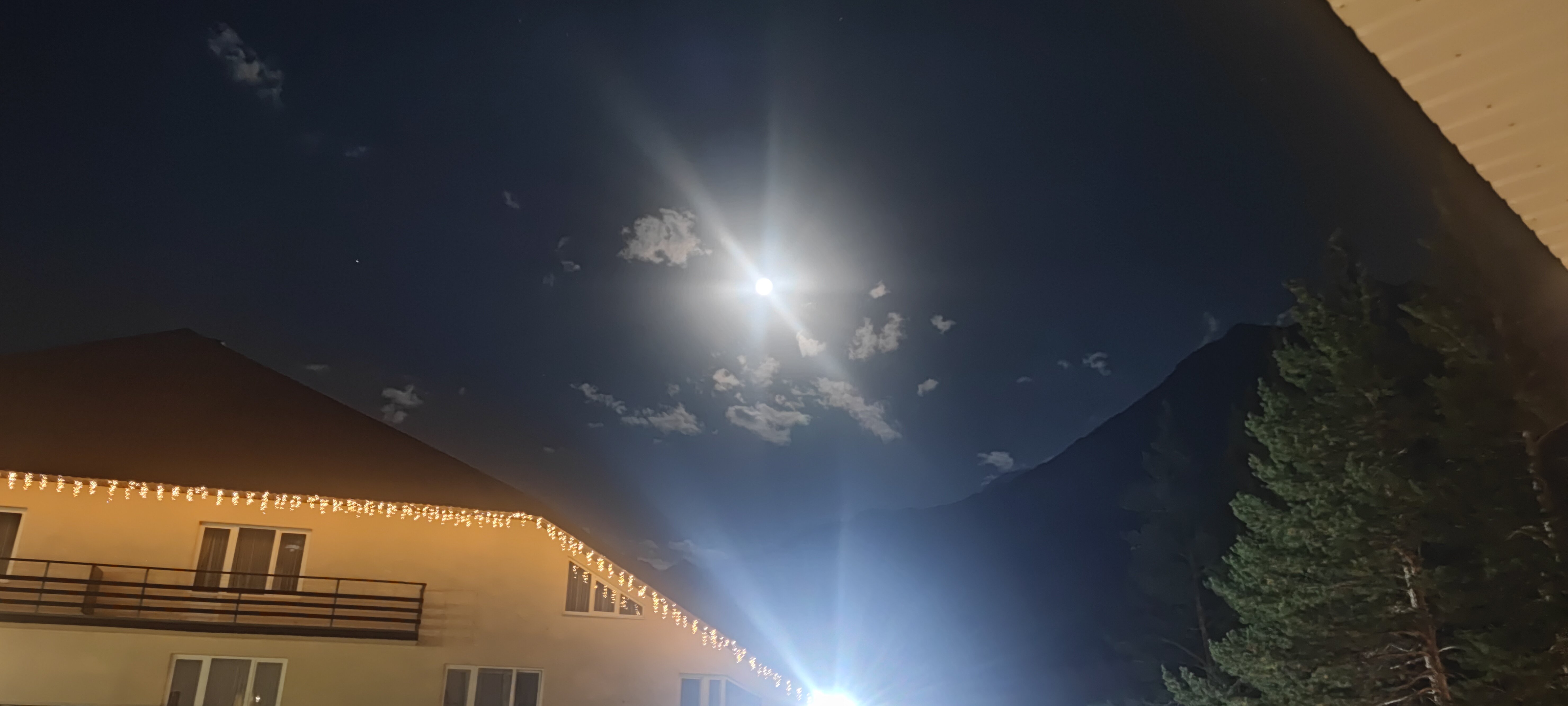 Фото Альпина