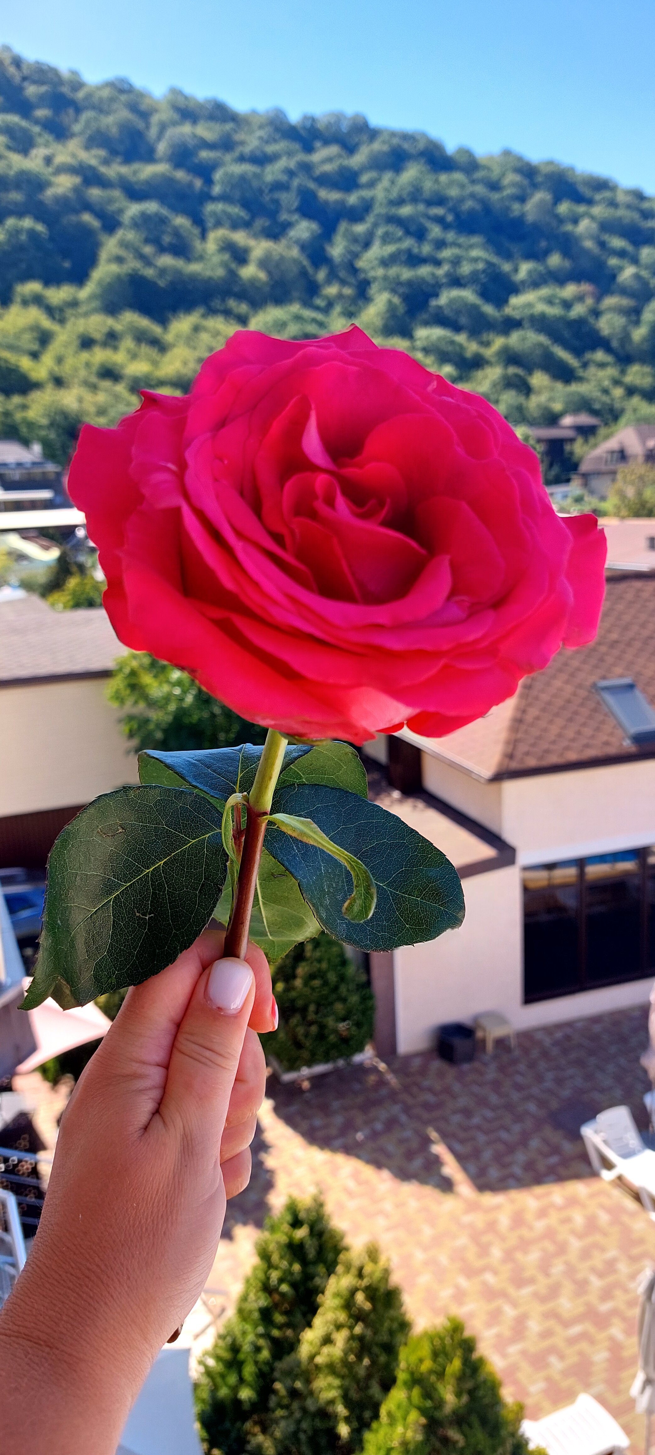 Фото Верона