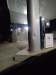 APN (derevnya Gostilitsy, Novaya ulitsa, 1Д/2), gasolinera