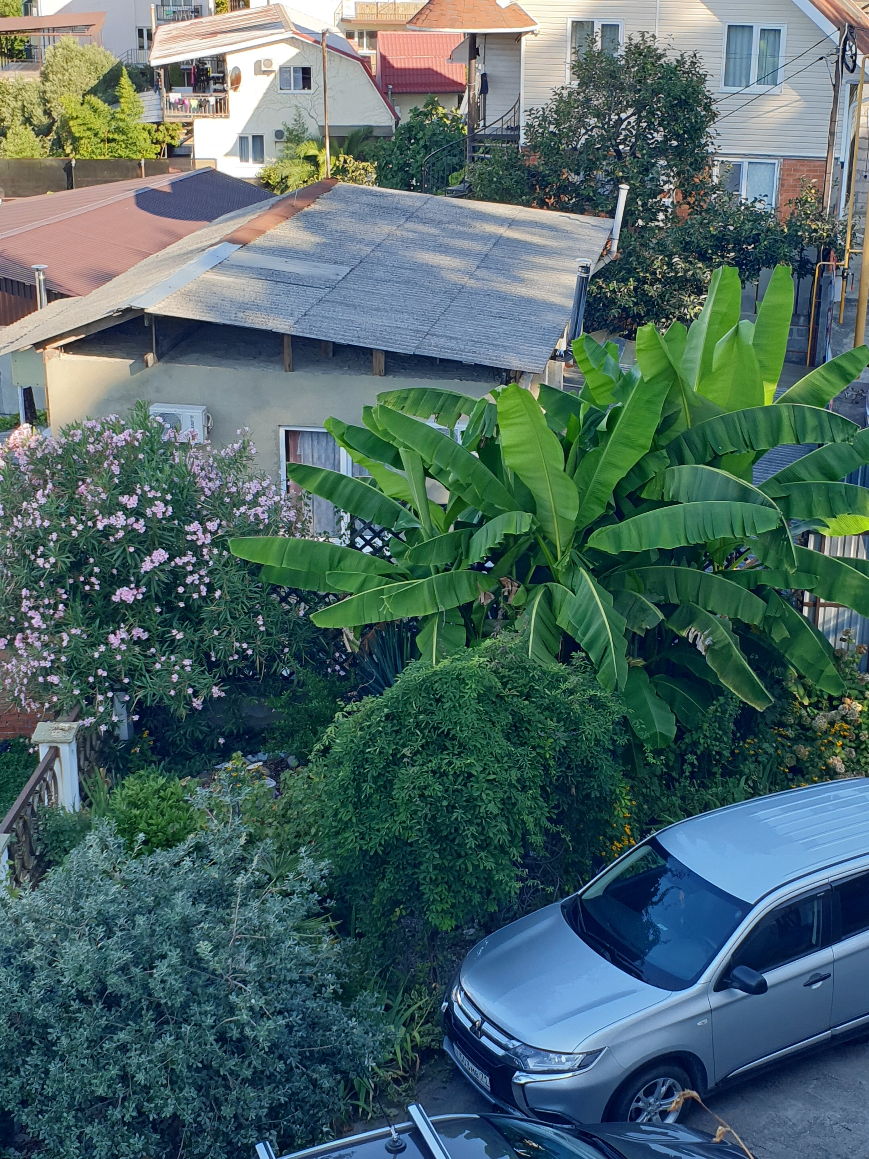 Фото Усадьба Верона