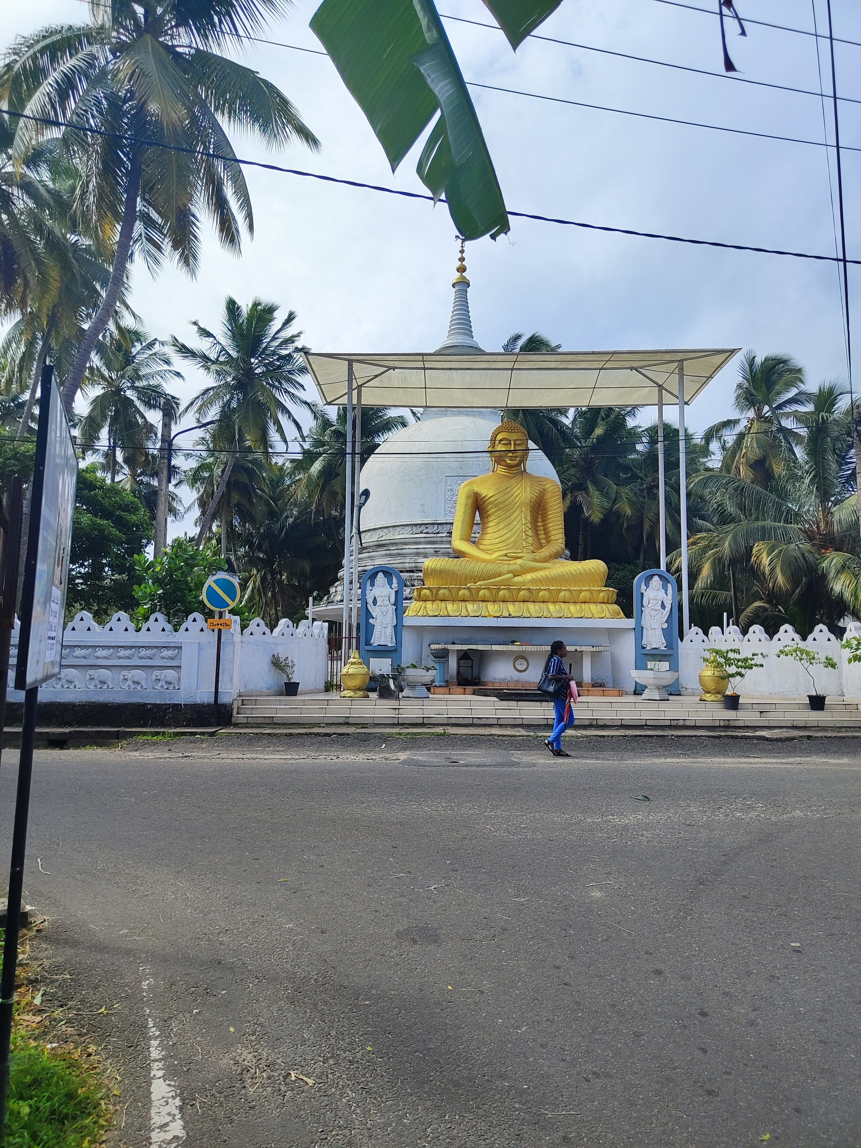 Фото Citrus Hikkaduwa