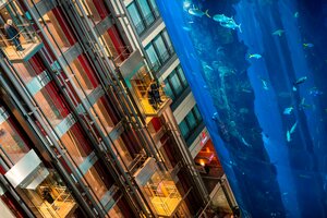 Гостиница Radisson Collection Hotel, Berlin