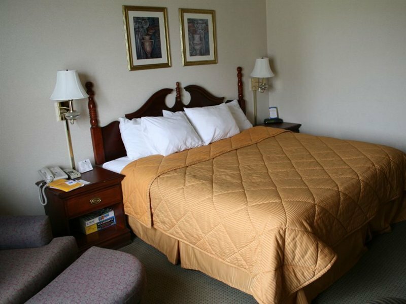 Фото Comfort Inn & Suites Love Field - Dallas Market Center