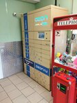 Ozon Box (Karl Marx Avenue, 472), parcel automat