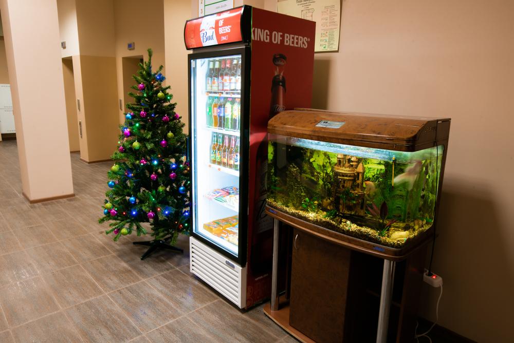 Фото Азалия на Аграрной