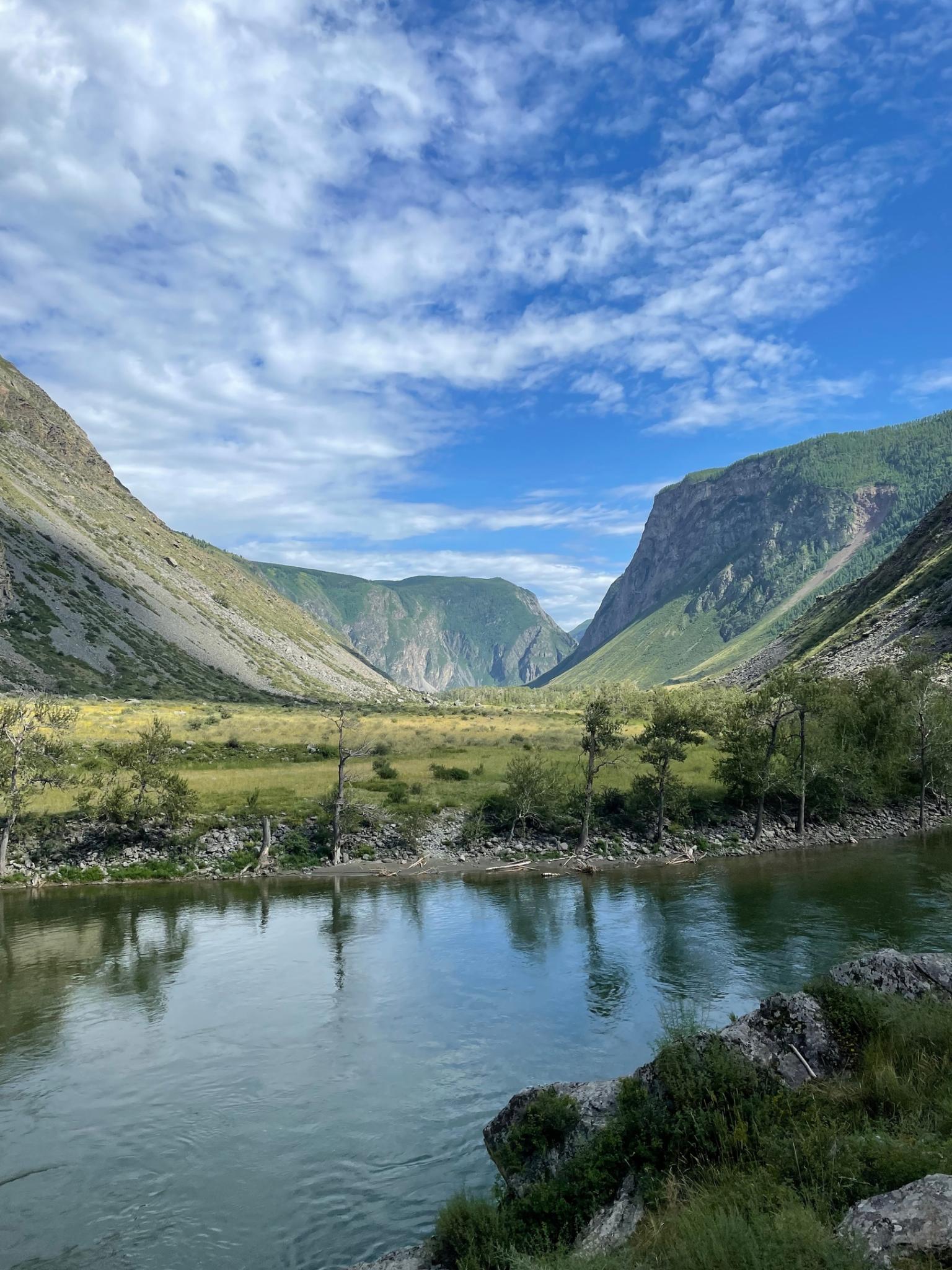 Фото АлтайЭкоКедр