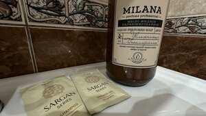 Гостиница Милана