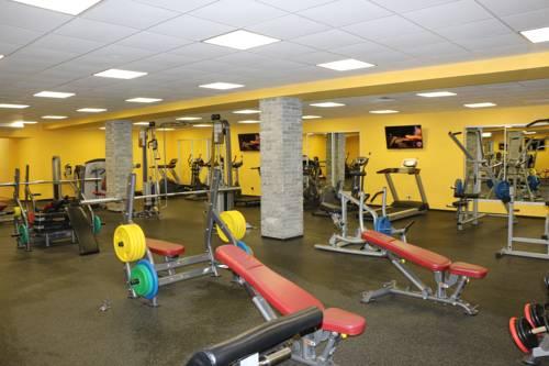 Фото Алейка