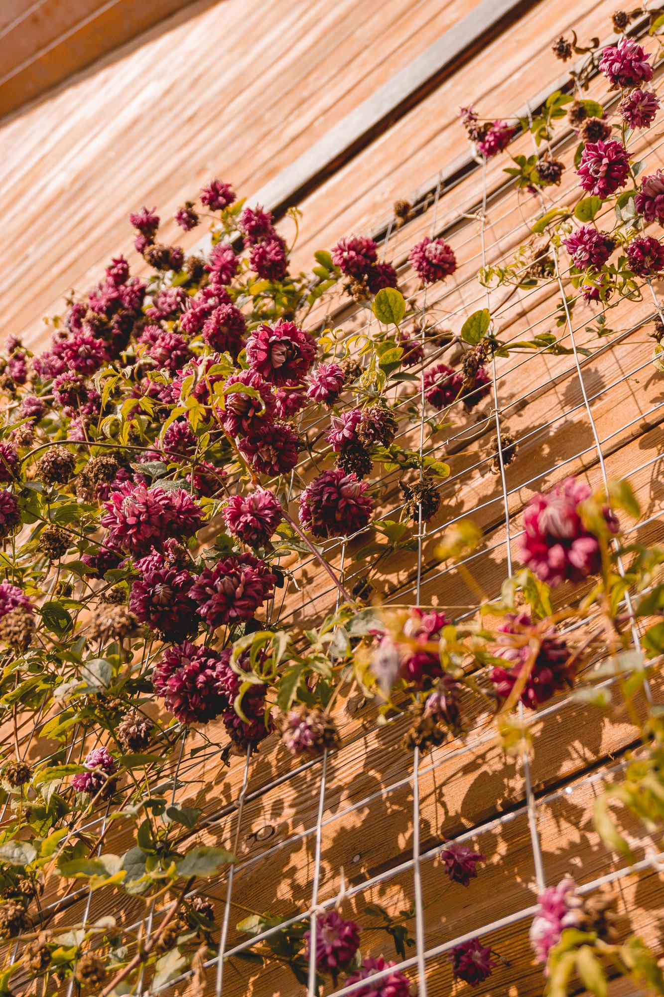 Фото Усадьба