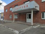 Fortuna (Baydukova Street, 102А), perfume and cosmetics shop