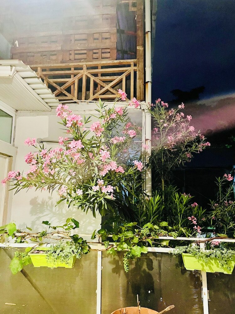 Фото Hostel Bon Voyage