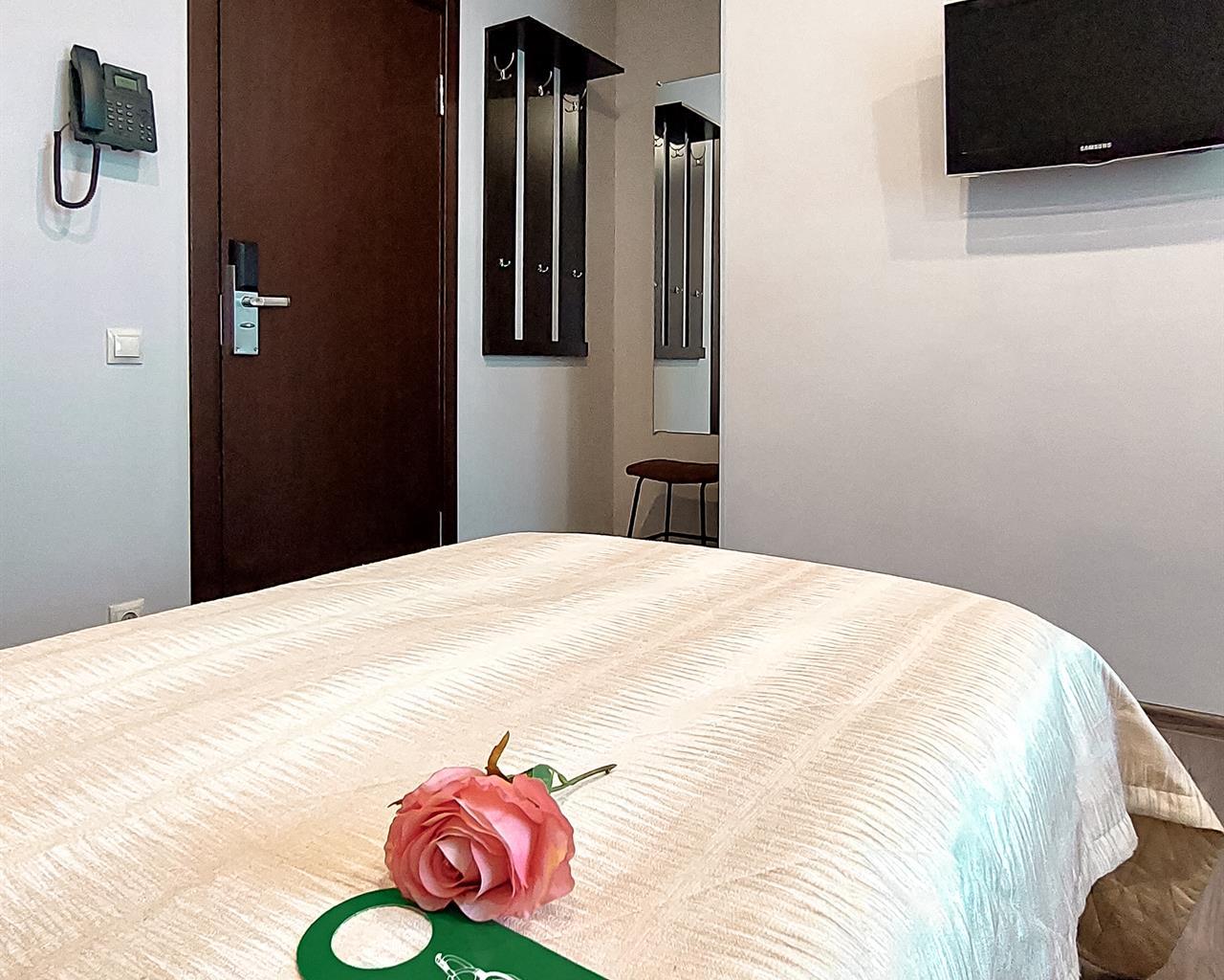 Фото Орбита