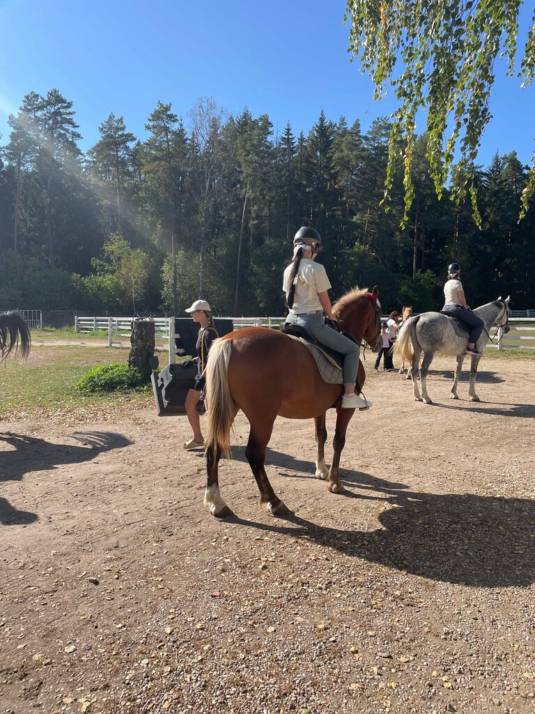 Horse riding Конный клуб Мустанг, Minsk District, photo