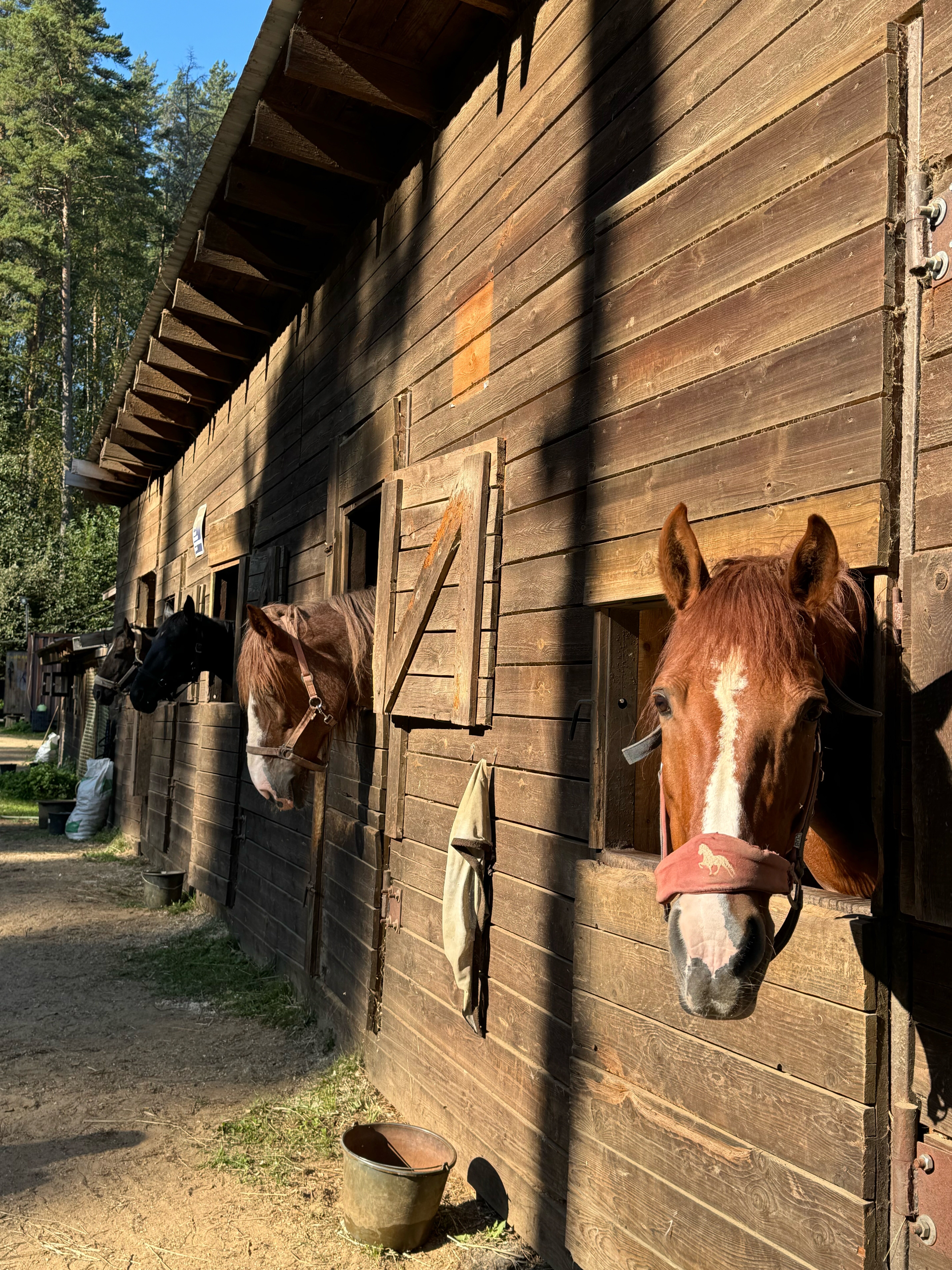 Фото Давинчи Парк