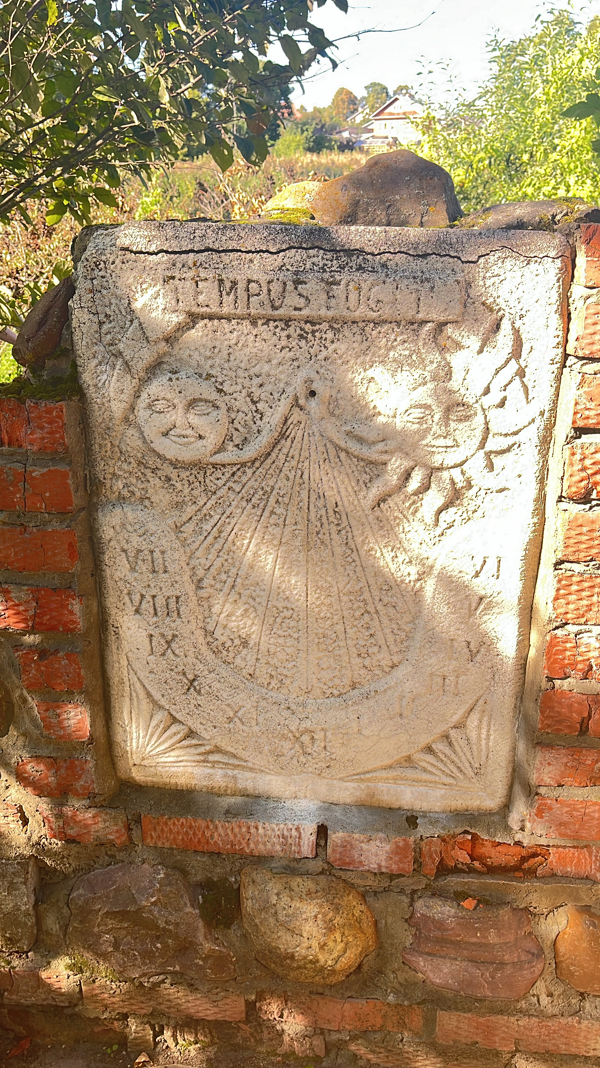 Фото Река времен