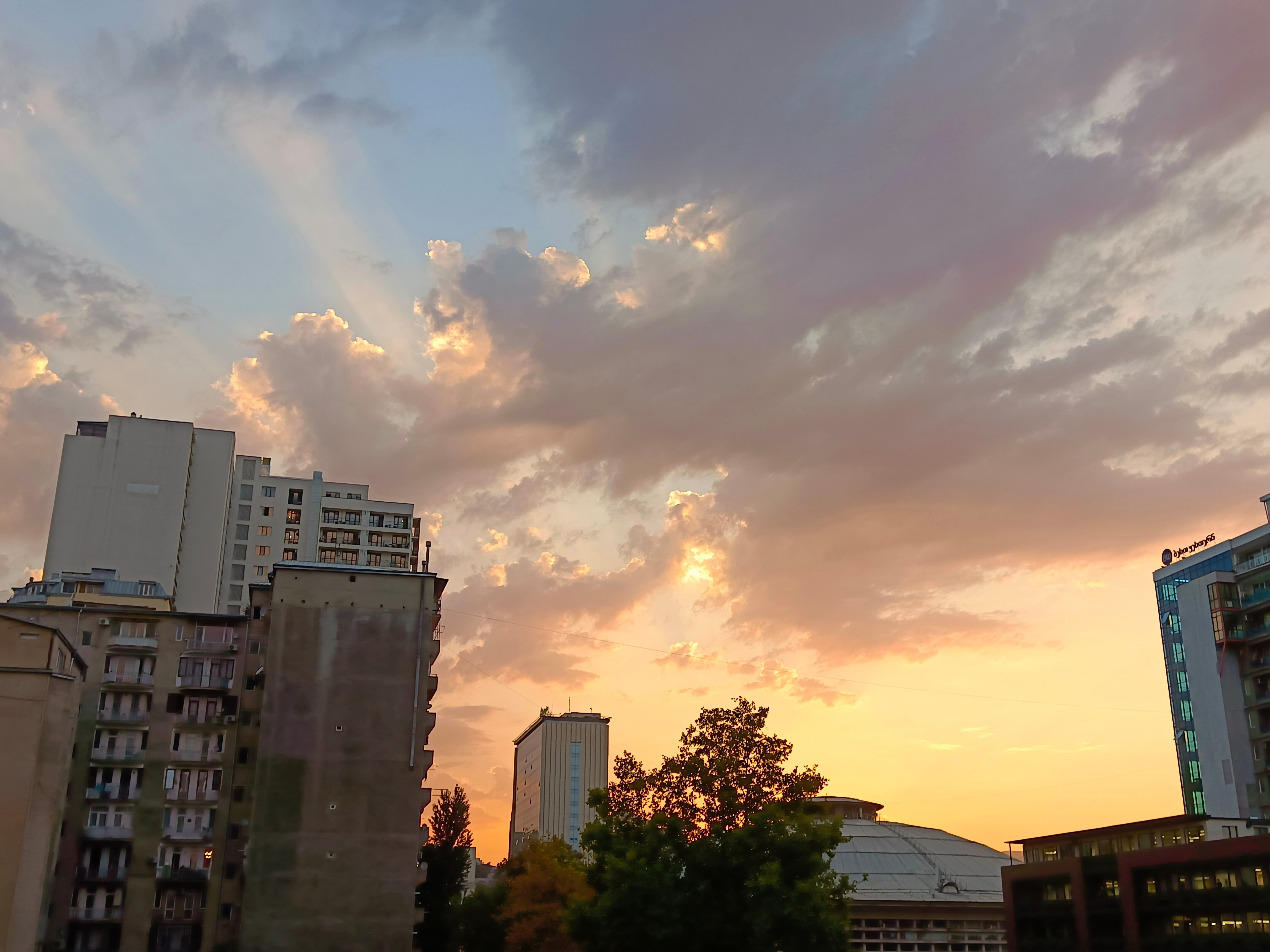 Фото Hotel Wine Palace