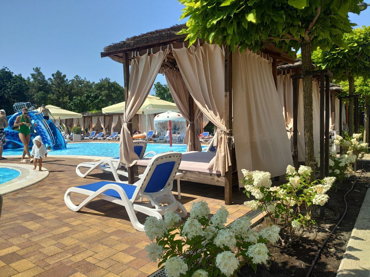 Фото Роза Ветров Новая