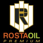 Rostaoil (selo Russkaya Borkovka, Severnaya ulitsa, 8), gas station