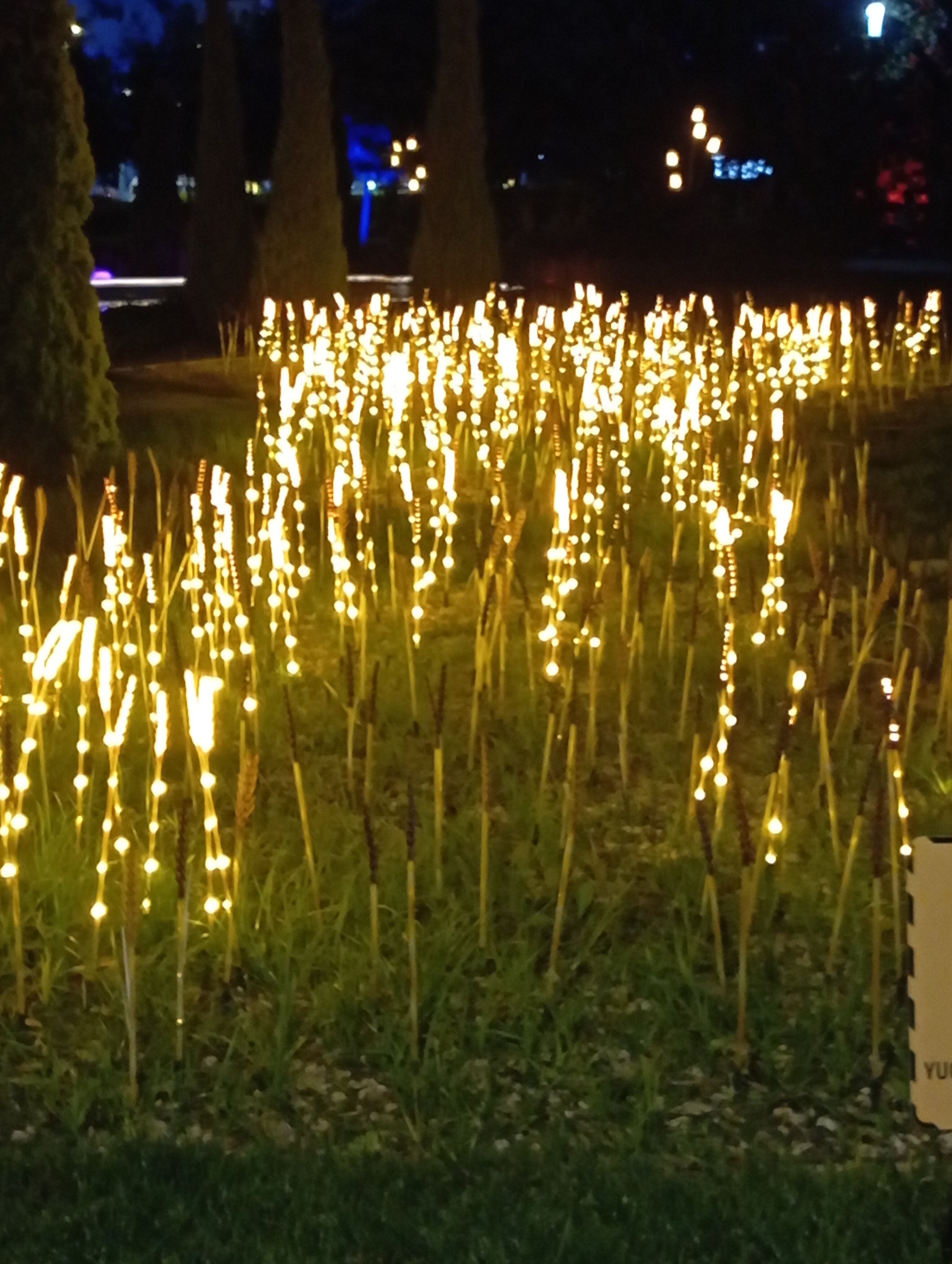 Фото Human Hotel