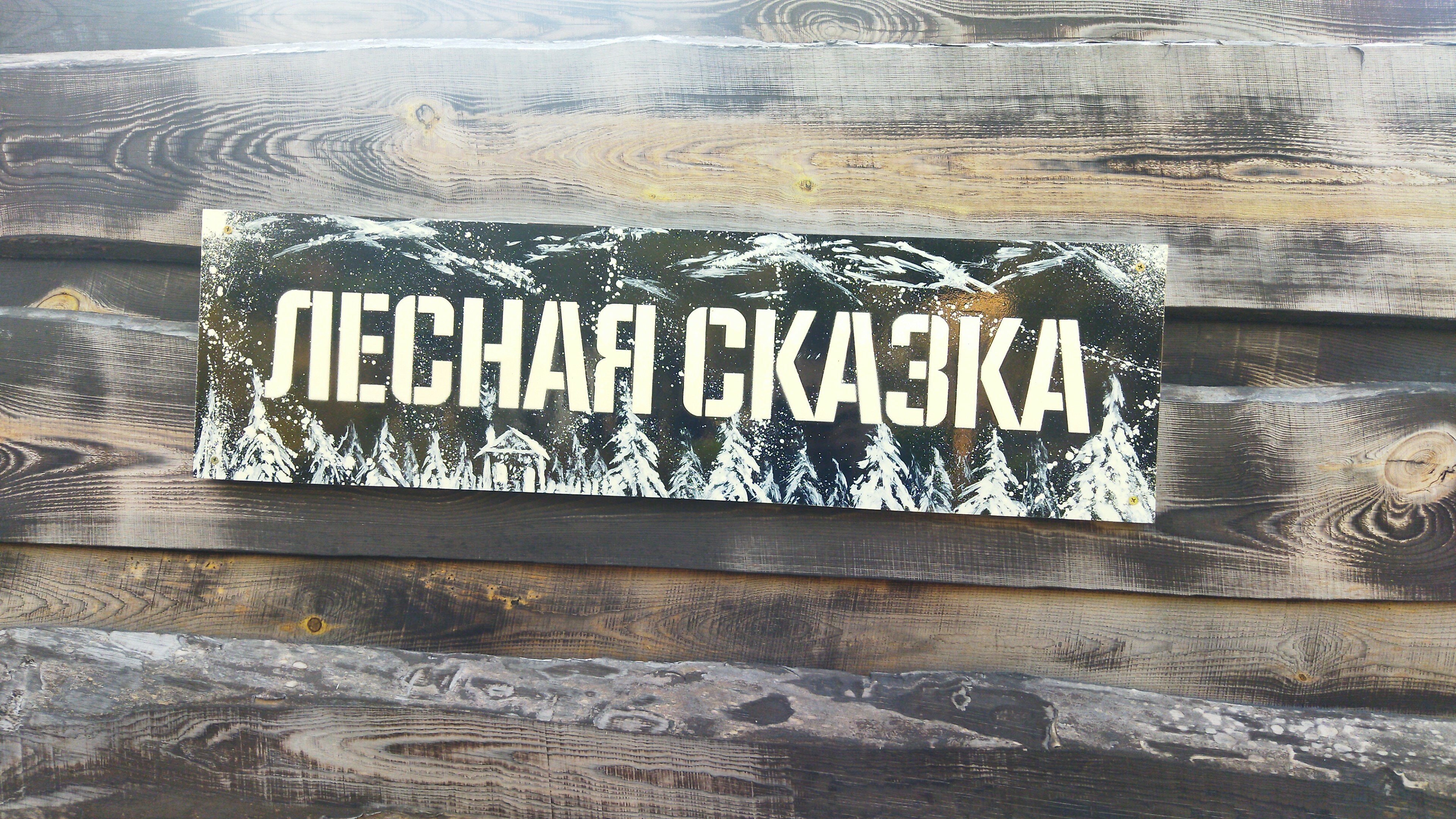 Фото Forest tale