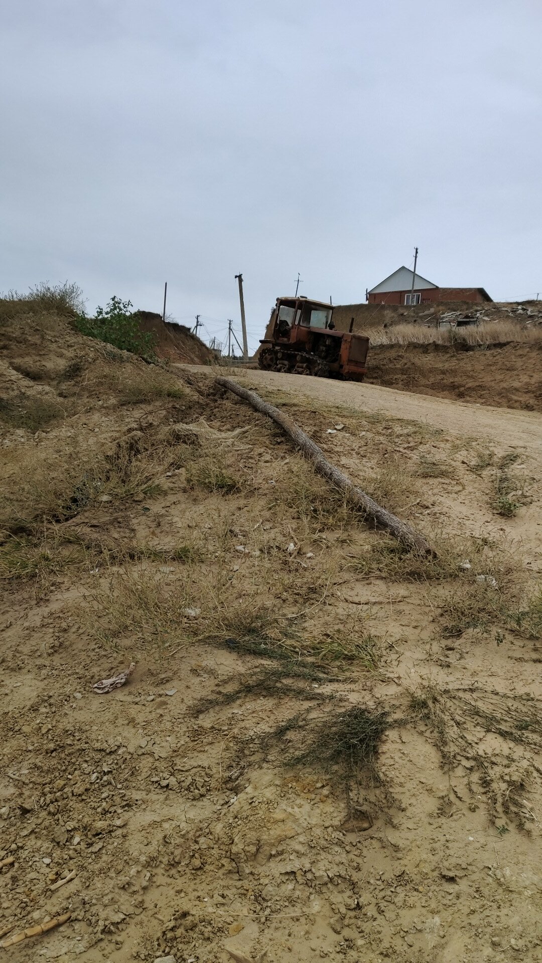 Фото Звезда Тамани