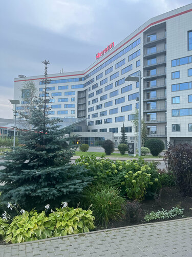 Гостиница Skypoint Hotel в Химках