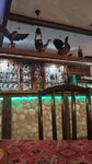 Дружба (6-y mikrorayon, 14А), cafetería