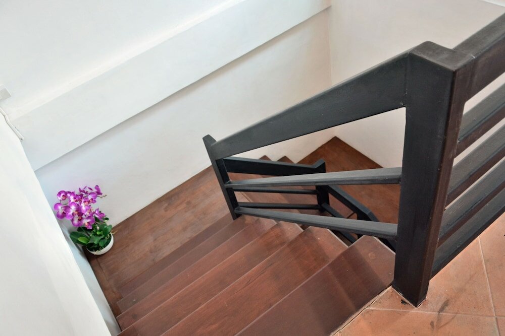 Фото Seedling House