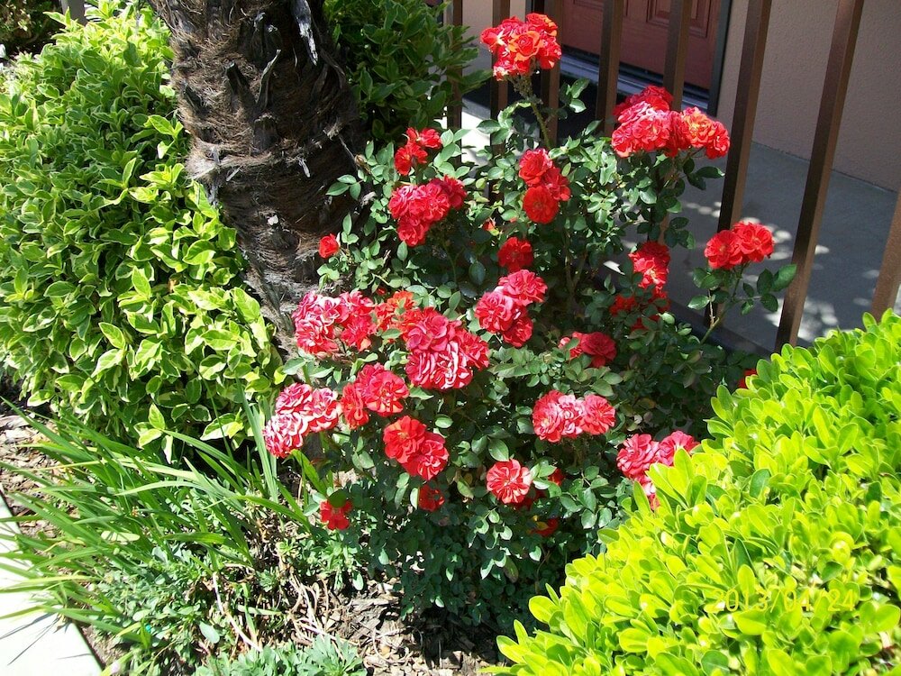 Фото Adelaide Inn