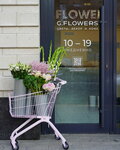 G. Flowers (Mirgorodskaya Street, 20), floristeria