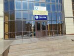 Shynn (Ybyraı Jahaev Street, 61), further education